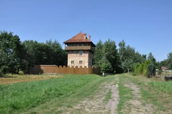 Wakacyjna wyprawa do grodu w Oleśnicy – ostatnie spotkanie w bibliotece