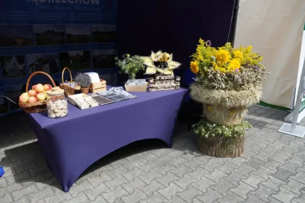 Gmina Mędrzechów z sukcesami na XV Święcie Powiśla Dąbrowskiego w Szczucinie
