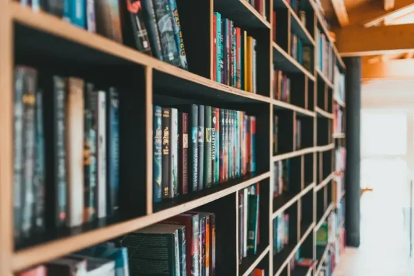 Nowości wydawnicze w bibliotece – co warto wypożyczyć?