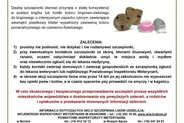 Radgoszcz: rusza jesienna akcja szczepienia lisów przeciwko wściekliźnie