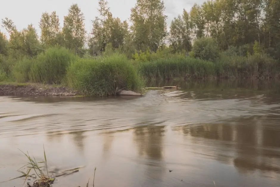 Niewybuch z czasów II wojny światowej wyłowiony z Wisły pod Borusową