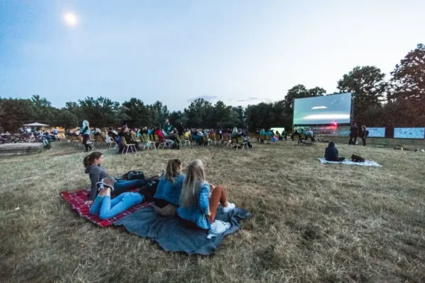 Biblioteka w Bolesławiu w piątek otwarta krócej – powodem kino plenerowe
